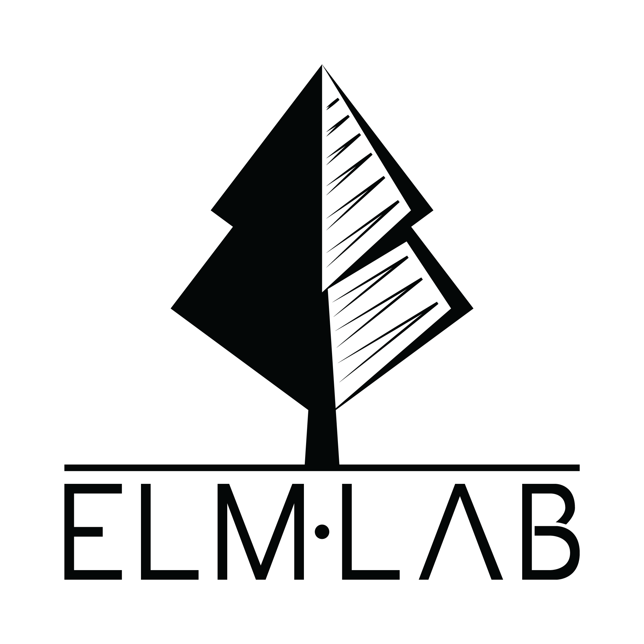 Elmlab